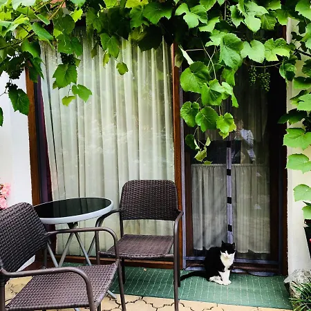 Kwatera prywatna Christo Dom Z Dusza Kołobrzeg